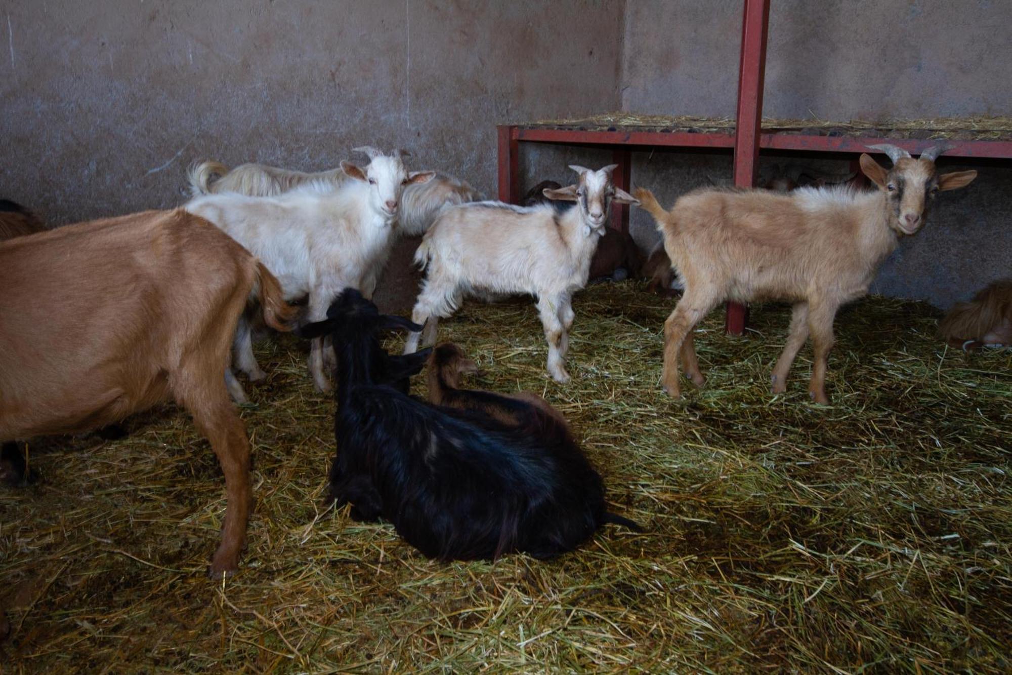 La Ferme De Lalladom طمسلوحث المظهر الخارجي الصورة