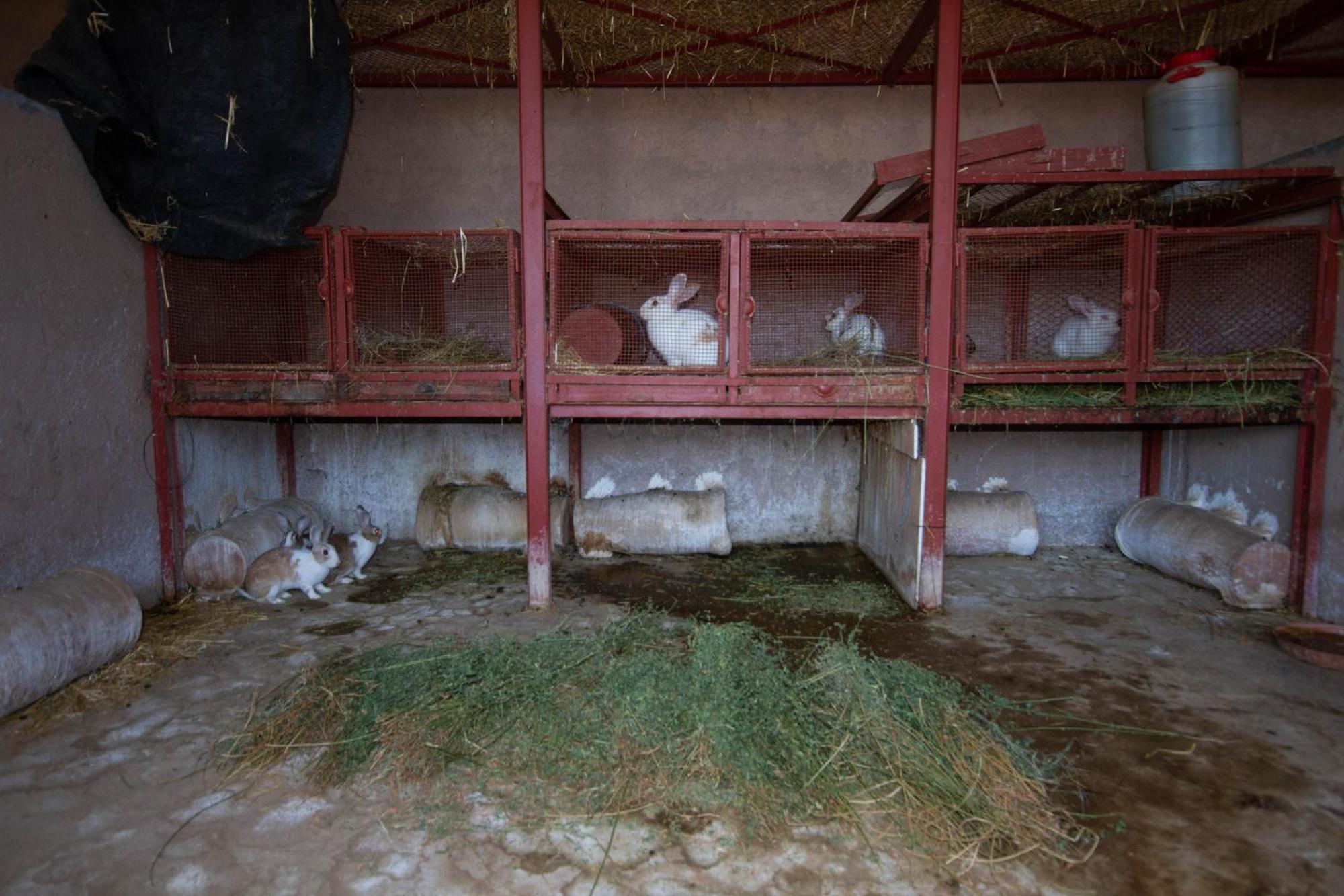 La Ferme De Lalladom طمسلوحث المظهر الخارجي الصورة
