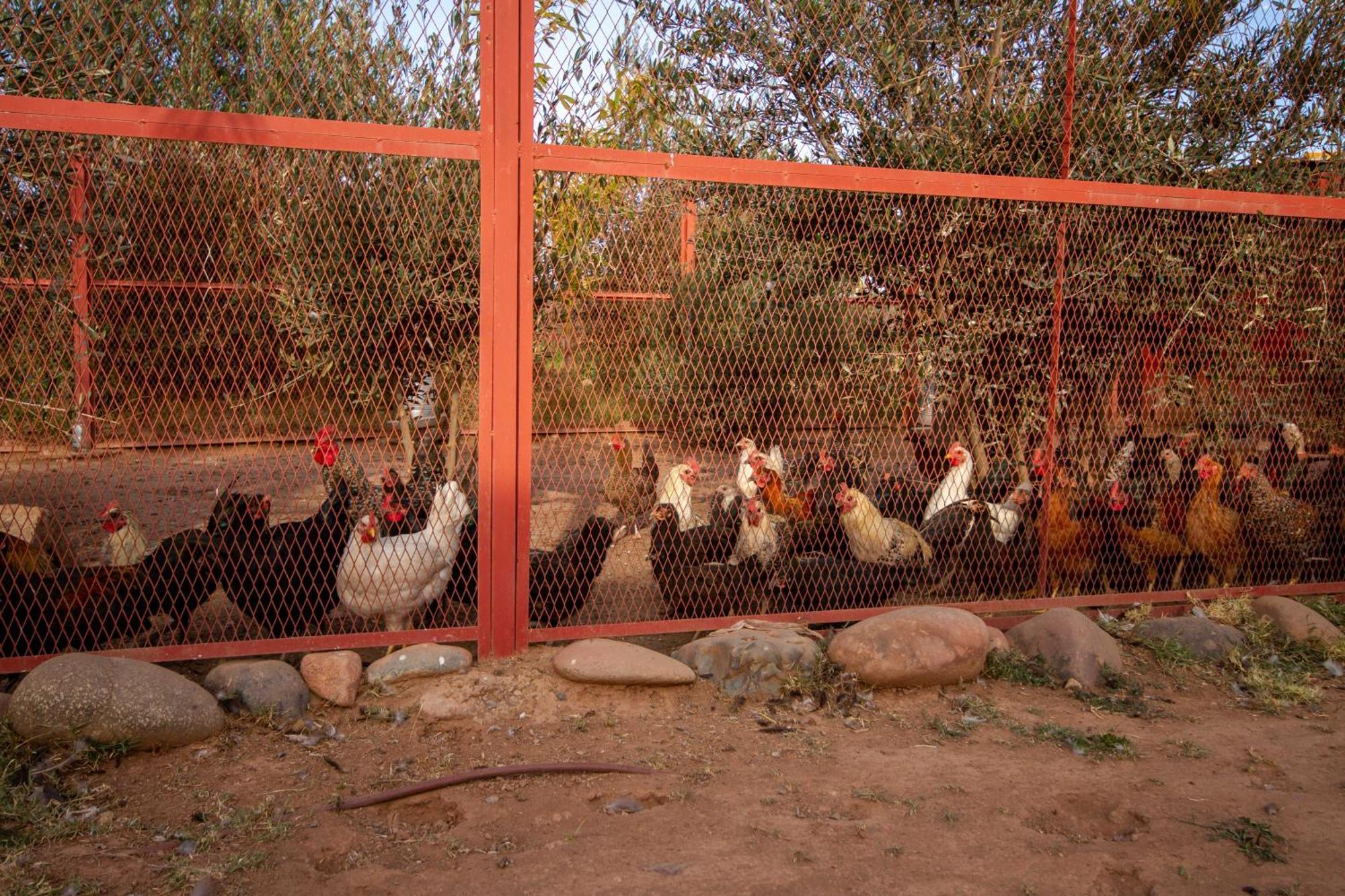 La Ferme De Lalladom طمسلوحث المظهر الخارجي الصورة